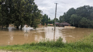 Fotó: MTI/Katona Tibor