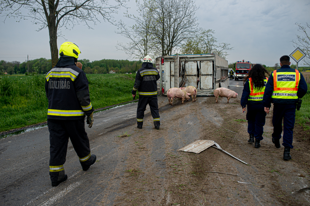 Fotók: Röhrig Dániel (12 / 4. kép)