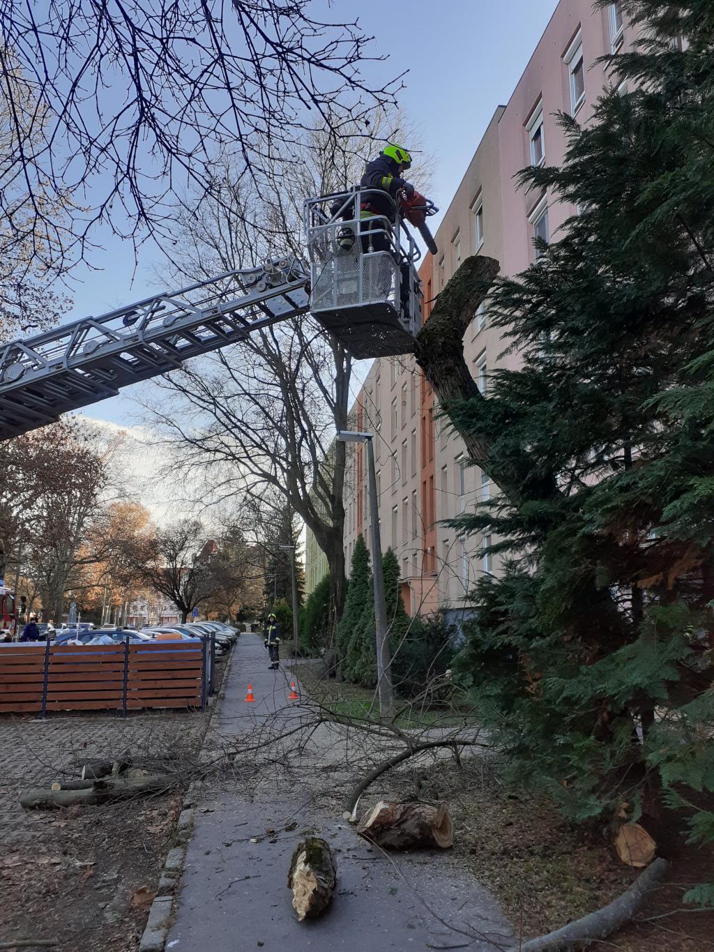 Viharkárok megyeszerte. Fotók: megyei katasztrófavédelem (7 / 6. kép)