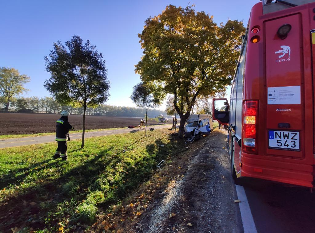 Fotó: Siófok HTP (8 / 8. kép)