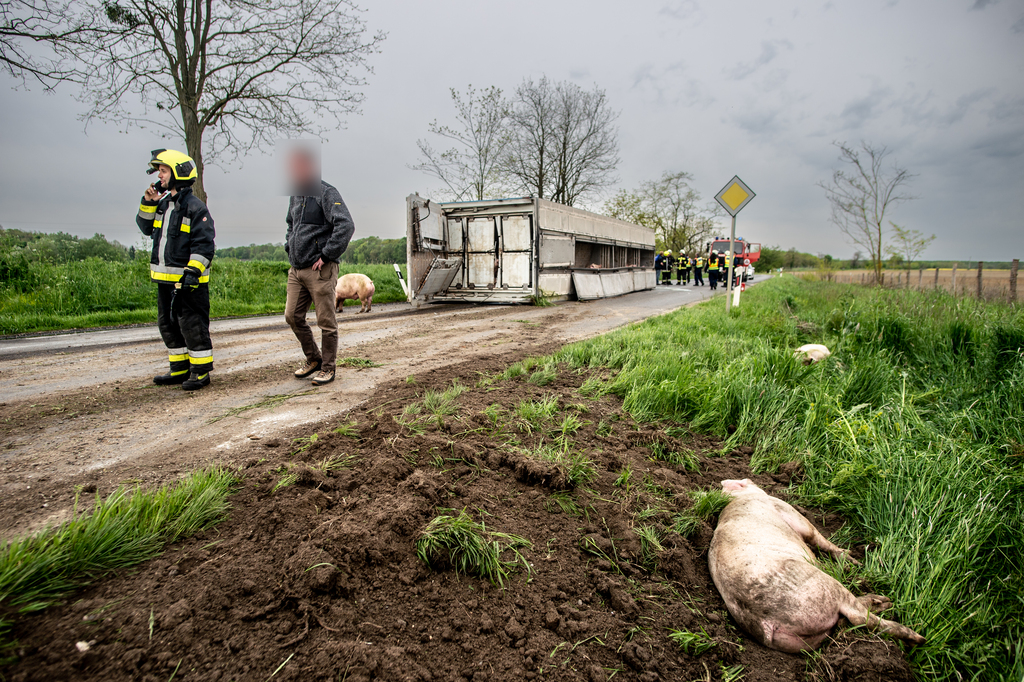 Fotók: Röhrig Dániel (12 / 9. kép)